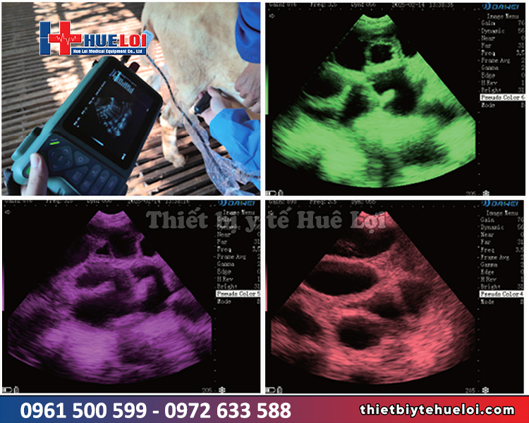 máy siêu âm thai cho lợn hình ảnh sắc nét