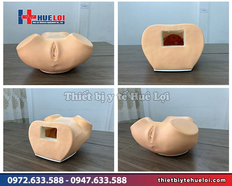 mô hình khám phụ khoa giá tốt