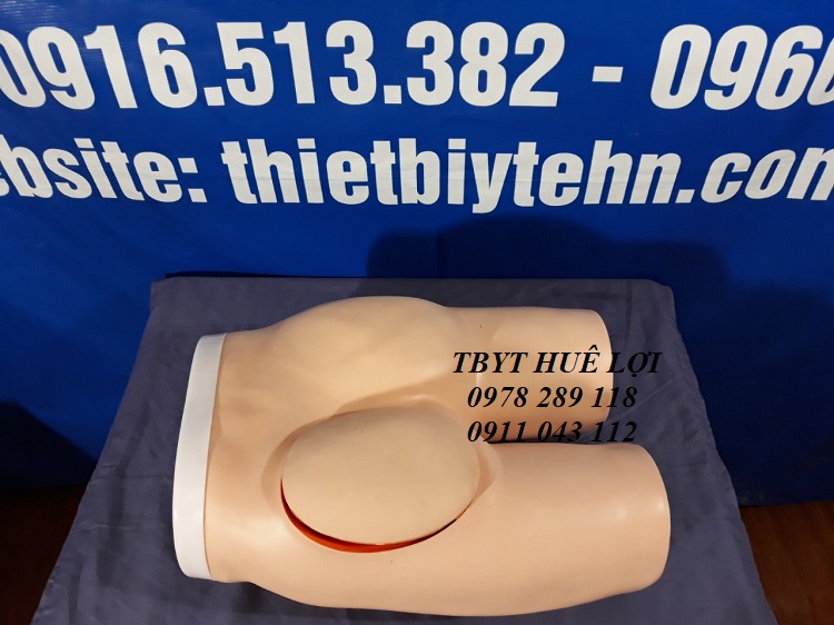 mô hình tiêm bắp sâu