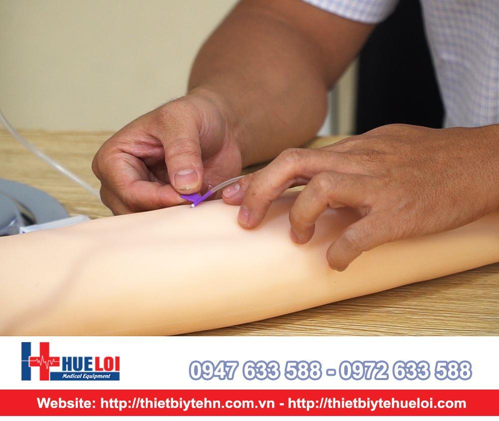 mô hình thực hành lấy vein