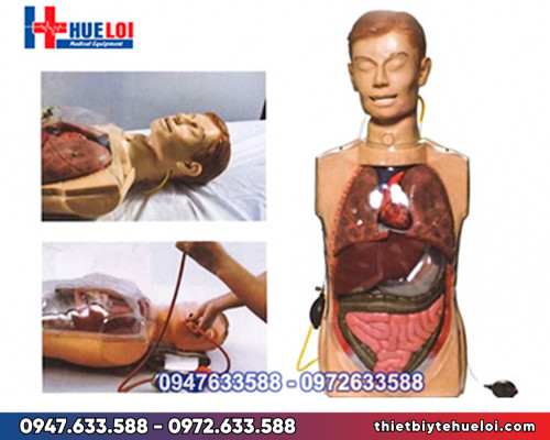 mô hình rửa dạ dày