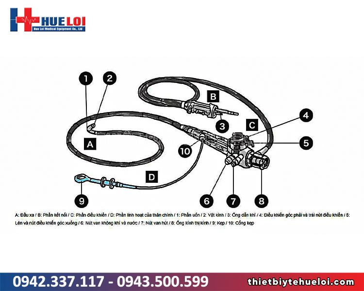 Cấu tạo ống nội soi mềm